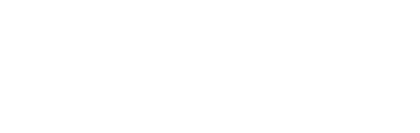 Distribuidora Alex